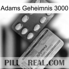 Adams Secret 3000 36